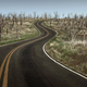 Image for article titled Yes, We Are in the Early Stages of a Mass Extinction